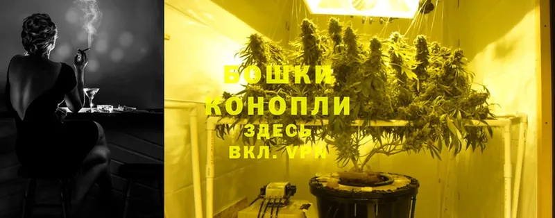 Бошки Шишки THC 21%  магазин  наркотиков  Белогорск 